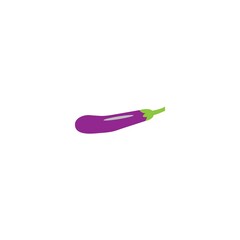 Eggplant vector