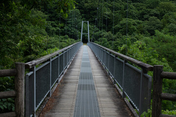 Fototapeta na wymiar 日本にある伝統的な橋