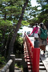 Fototapeta na wymiar 日本にある伝統的な赤い橋