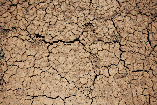 Background of dry earth.