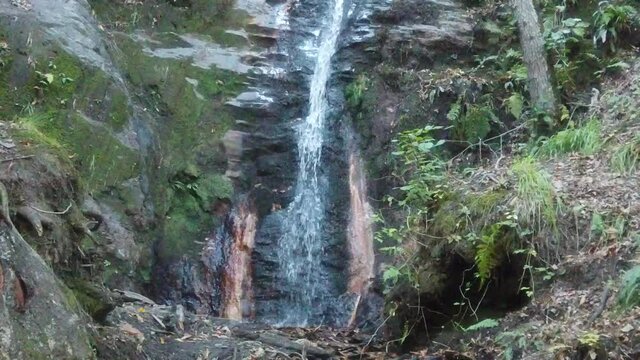 Waterfall in forest. Peñalaba de Santiago. Leon,Spain