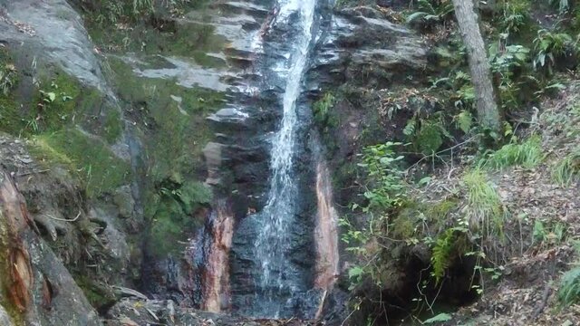 Waterfall in forest. Peñalaba de Santiago. Leon,Spain