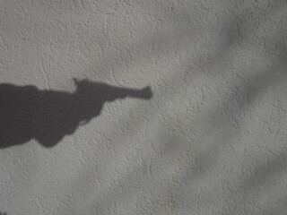 Shadow with a gun