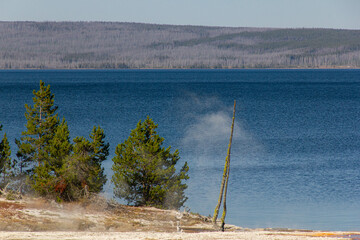 Yellowstone lake. The silence of the .Mountain across the lake. Steam from the hot spring. A single branch.