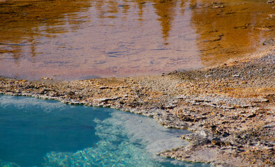 west thumb Abstract color nature paint background. Hot sping color contrast.Aqua blue and yellowish brown. Natural formation in Yellowstone. Tree relection.