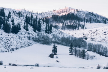 winter landscape 