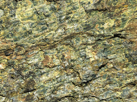 Detail of patterns on rock, Central Cascades, WA