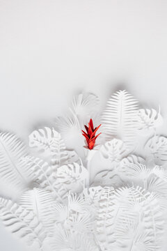 Conceptual idea of a red flower appearing in the middle of colorless white plants
