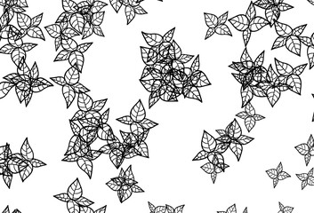Fototapeta premium Black and White vector abstract pattern with leaves.