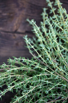 A Bundle Of Fresh Picked Thyme On An Old Wood Table
