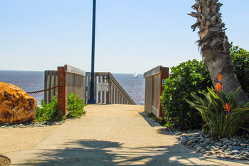 a staircase and walkway leading to the beach with lush green trees and blue sky, rocks and flowers...