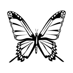 Fototapeta premium beautiful monochrome butterfly flying isolated icon