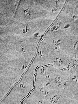Close up of markings on beach sand
