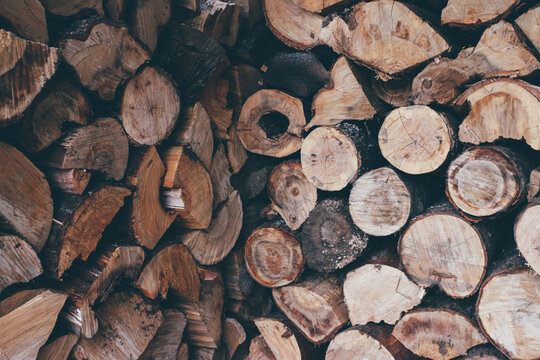 logs