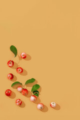 Fresh small red apples and green leaves with dark shadows on honey dijon colored background