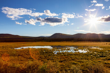 Obraz premium Beautiful View of the Meadow Fields during a sunny sunset in Fall Season. North of Whitehorse, Yukon, Canada.