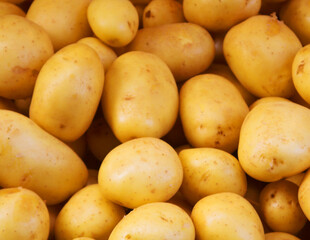 Big bunch of natural potatoes at market