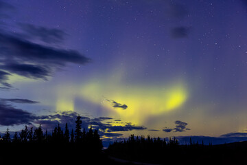 Fototapeta premium Northern lights, aurora borealis, in the Canadian Nature at Night. Taken near Whitehorse, Yukon, Canada.