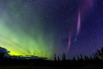 Northern lights, aurora borealis, in the Canadian Nature at Night. Taken near Whitehorse, Yukon, Canada.