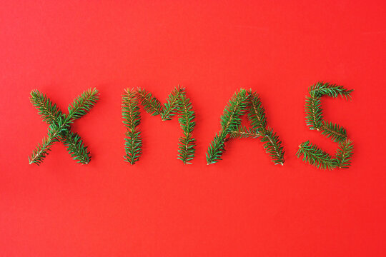 The word XMAS, formed by little pine branches on red paper