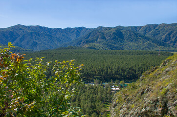 Obraz premium Landscape of mountains in Mountain Altai in Russia a season
