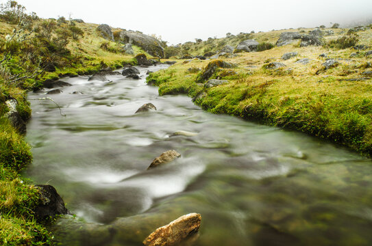 Hiking trails in Paramo La Culata. Venezuela