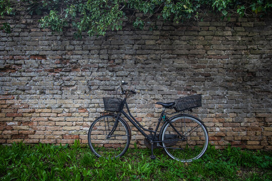rustic park scene with bike and brick wall