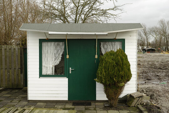 Cute garden shed and conifer