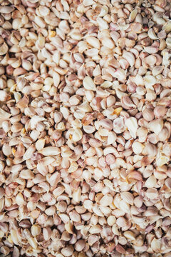 Garlic Cloves