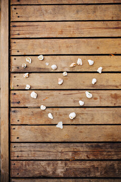 Seashell heart