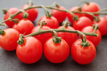 Cherry tomato branch. Cherry tomatoes on a black background. Red tomatoes on a twig on a black background.	