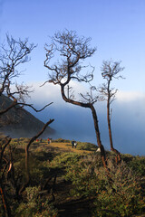 Beautiful view at the top of Mount Ijen Banyuwangi East Java Indonesia.