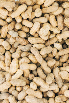 Whole peanuts in shell