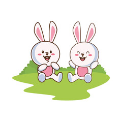 cute little rabbits couple characters in the field scene