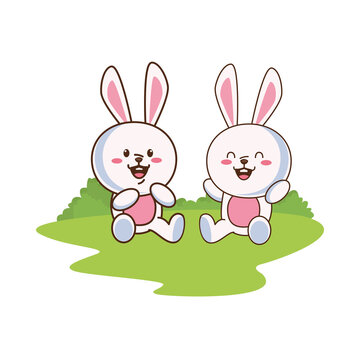 cute little rabbits couple characters in the field scene