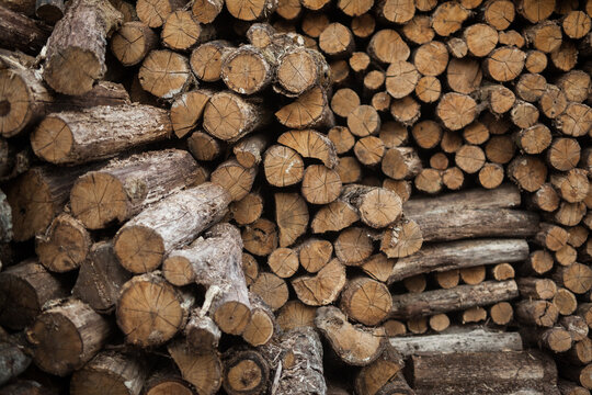 Firewood stack