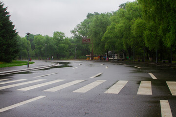 A paved road through trees in a rainy day in China