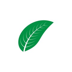 leaf logo