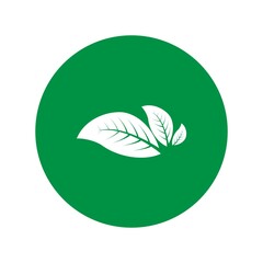 leaf logo