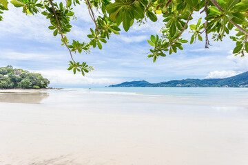 beautiful leaves frame trees on tropical beach in summer season