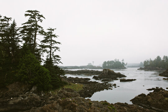 Pacific Northwest Landscapes - digital file