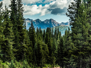 Mountain scene from Shrine Pass Rd in the Colorado Rockies