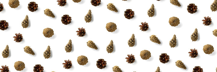 Pine cone Christmas background on white. Pine branches and cones. minimal creative cone arrangement pattern. flat lay, Modern christmas Background.