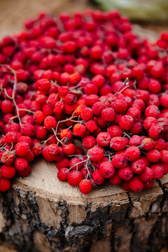 Rowanberry on wood