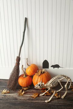 Pumpkins and broom with skeletal cat on floor