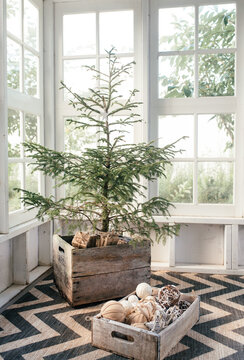 Christmas tree