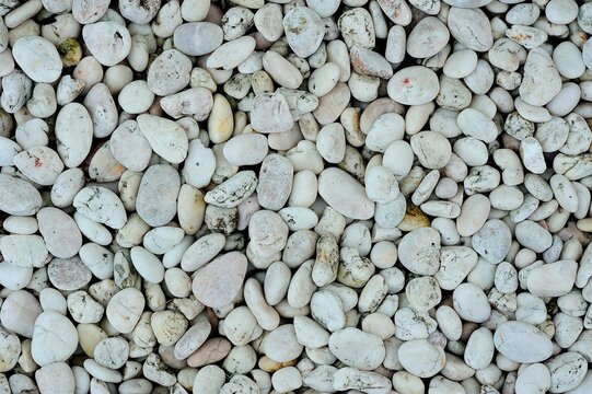 pebble stone texture background
