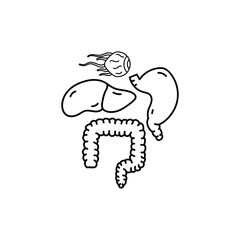 human internal organs icon design template isolated