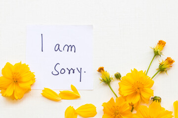 i am sorry message card handwriting with yellow flowers cosmos arrangement flat lay postcard style...