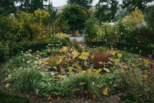 Beautiful garden in fall.